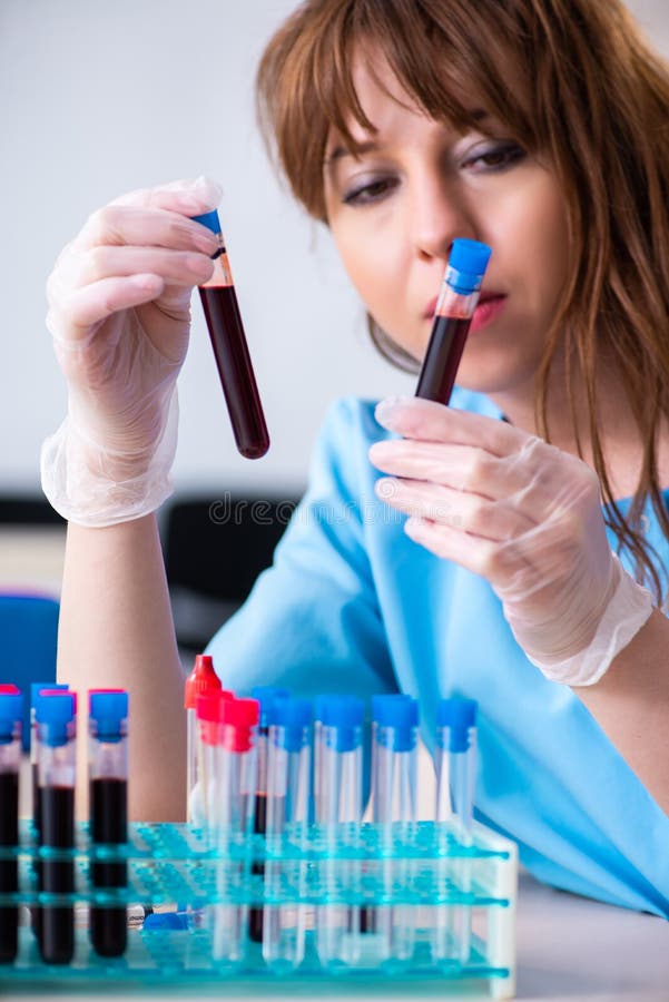 Young Lab Assistant Testing Blood Samples in Hospital Stock Image