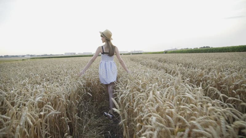 Young lady in dress and hat walks among golden wheat field and touches ears