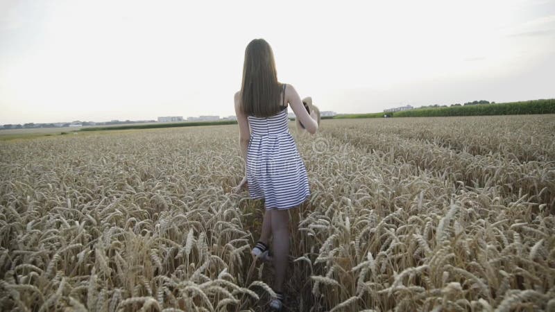 Young lady in dress walks among golden wheat field and poses with hat