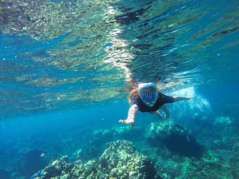 Reef snorkeling stock image. Image of ocean, tropical, adventure - 872335