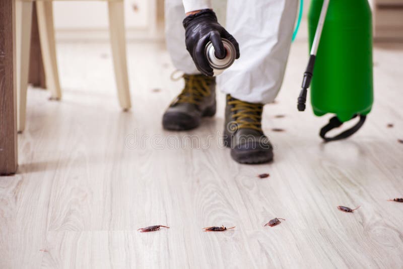 Young Male Contractor Doing Pest Control at Home Stock Image - Image of ...