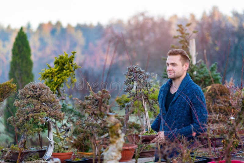 Man Holding Japanese Bonsai Tree Stock Image Image of tree, person