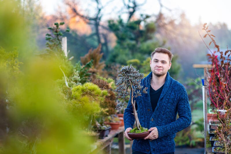 Man Holding Japanese Bonsai Tree Stock Image Image of tree, person