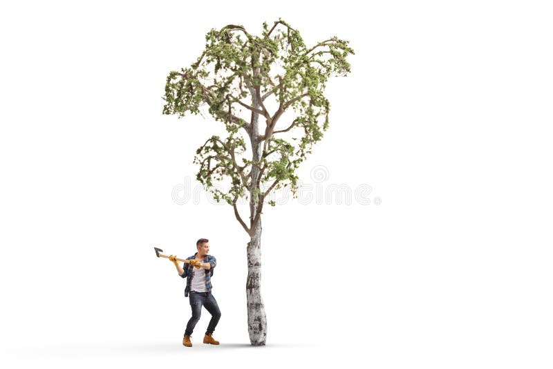 young man with an axe cutting a tree stock photo image of lifestyle hardworking 113557644 young man with an axe cutting a tree