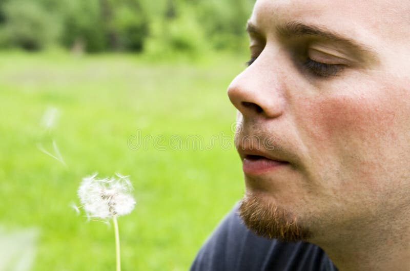 Young man blowing dandelion
