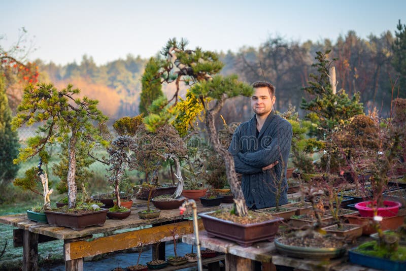 Bonsai artist takes care of his plant, wiring branches and trunk