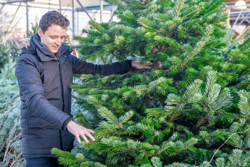 Young Man Buying Christmas Tree on the Market Stock Image - Image of ...