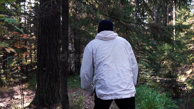 Young man on camping trip. Concept of freedom and nature. View of man from back walking in woods along path on sunny stock photography Young man on camping trip. Concept of freedom and nature. View of man from back walking in woods along path on sunny stock photography
