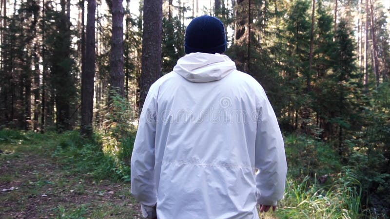Young man on camping trip. Footage. Concept of freedom and nature. View of man from back walking in woods along path on stock images Young man on camping trip. Footage. Concept of freedom and nature. View of man from back walking in woods along path on stock images