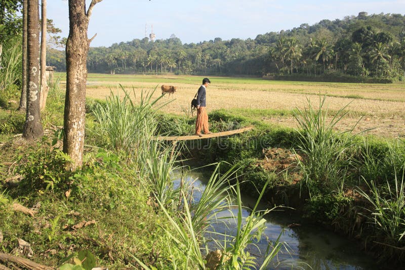 Young Man Crossing a River