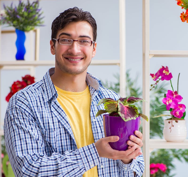 The Young Man Florist Working in a Flower Shop Stock Image Image of