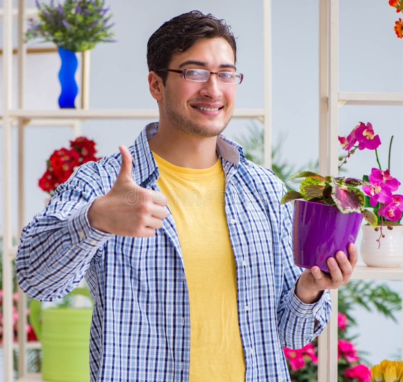 Young Man Florist Working in a Flower Shop Stock Photo Image of