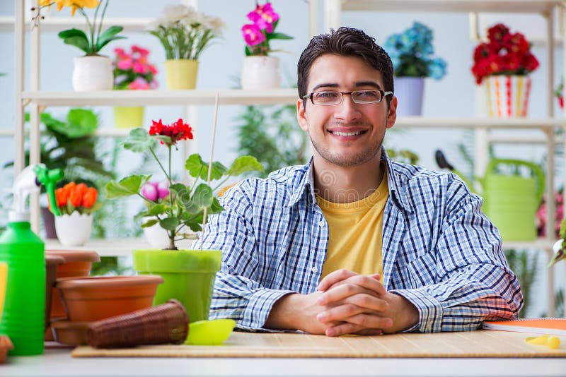 The Young Man Florist Working in a Flower Shop Stock Image Image of