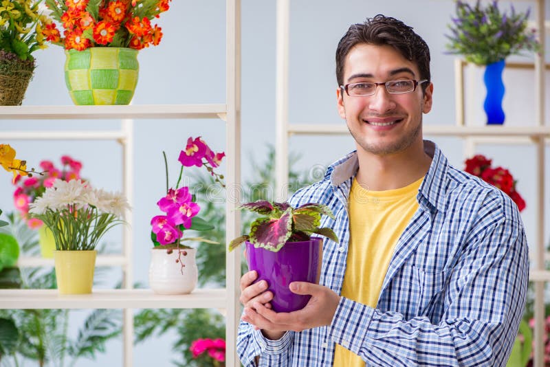 The young man florist working in a flower shop