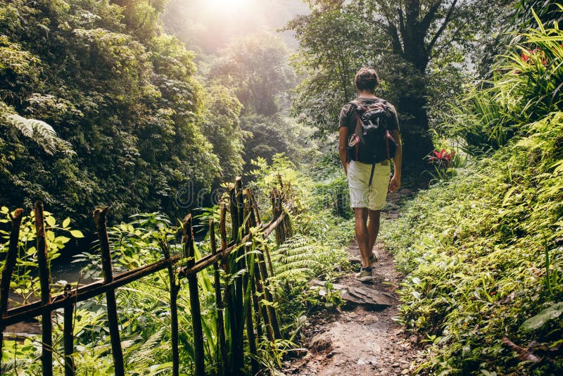 Young man hiking into the forest