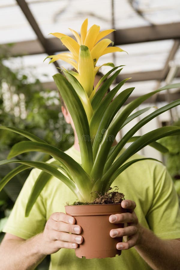 Young Man Holding Potted Plant