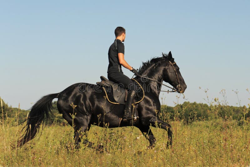 Young man and horse