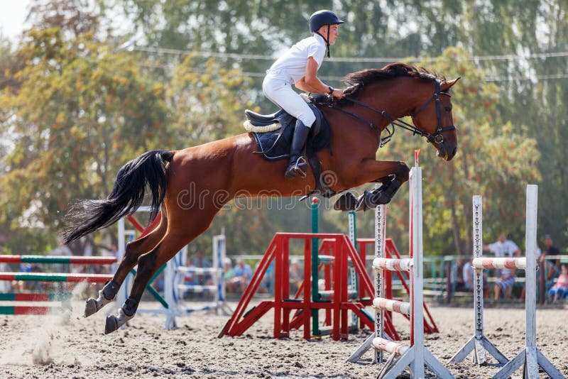 19 Ilustrações de Horse Jumping Over - Getty Images