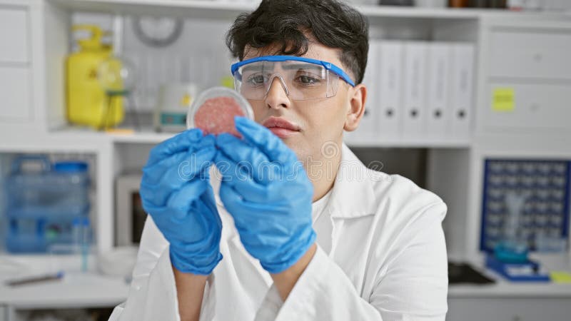 A young man in a laboratory examines a petri dish while wearing protective glasses and blue gloves in an indoor setting stock photo