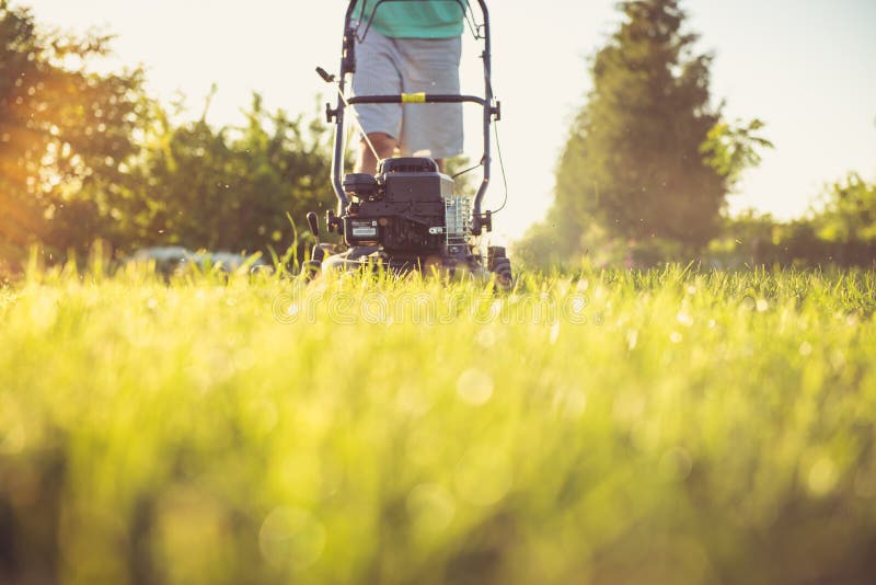 Young man mowing the grass stock image. Image of tool 55743993