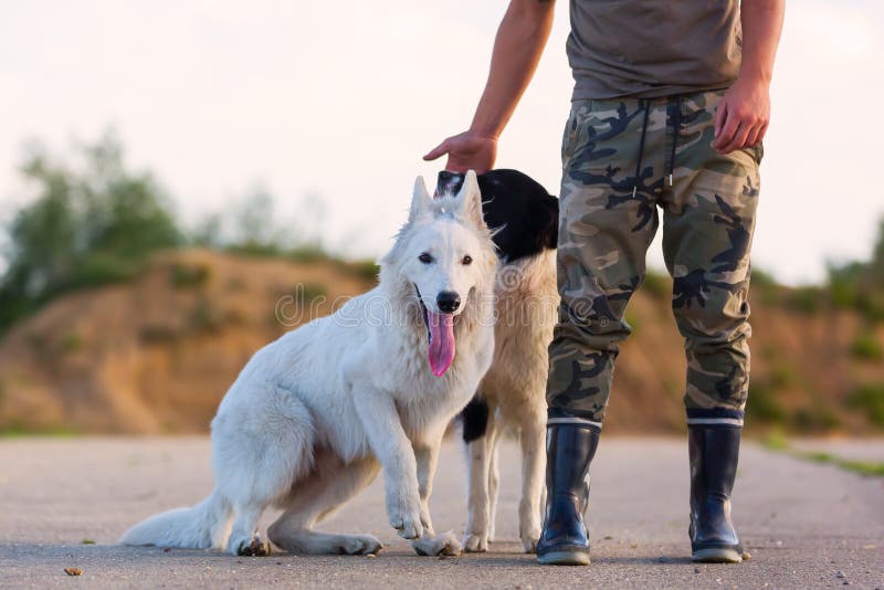 White Swiss Shepherd Pants White Swiss Shepherd Pants