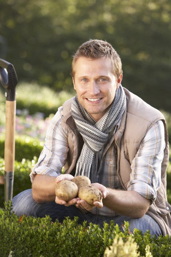 Young man posing with potatoes in garden stock image Young man posing with potatoes in garden stock image