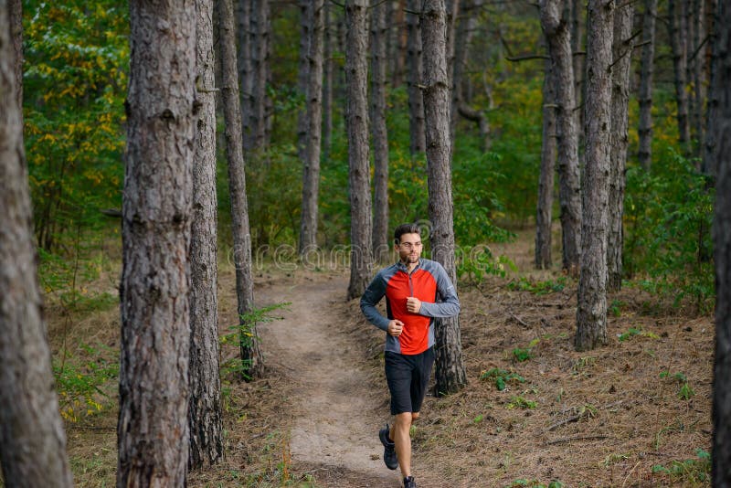 Young Man Running on the Trail in the Wild Pine Forest. Active