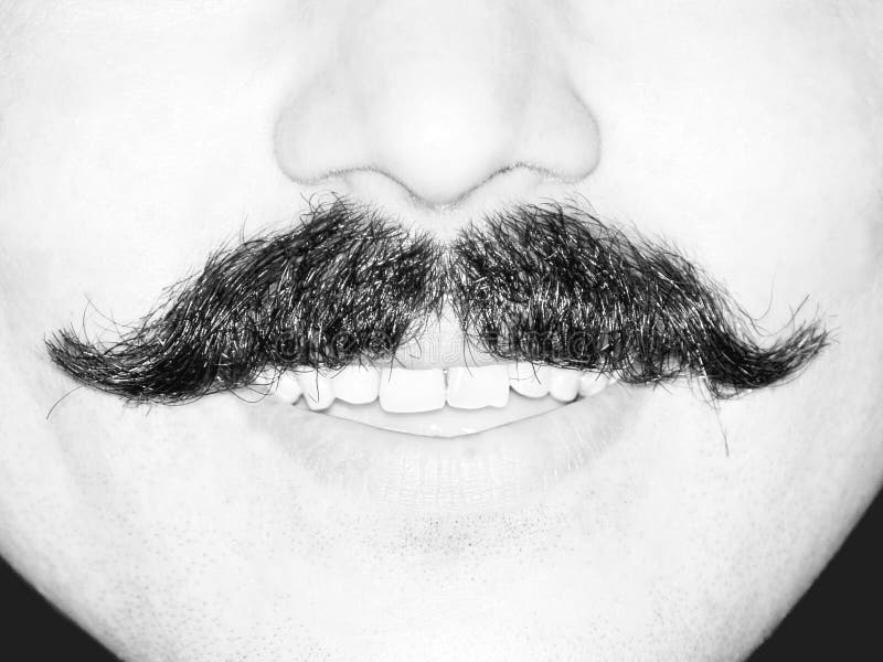 Young Man's Moustache royalty free stock photos Young Man's Moustache royalty free stock photos