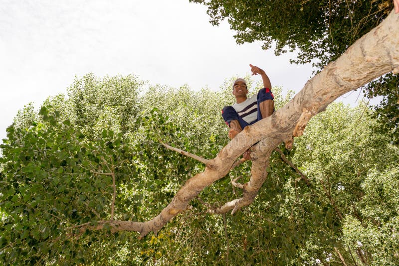 Young man sitting on a tree royalty free stock photos Young man sitting on a tree royalty free stock photos