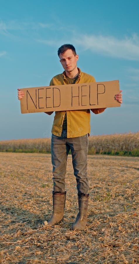 A young man stands in front of a cornfield, holding a sign that reads Need Help stock photography