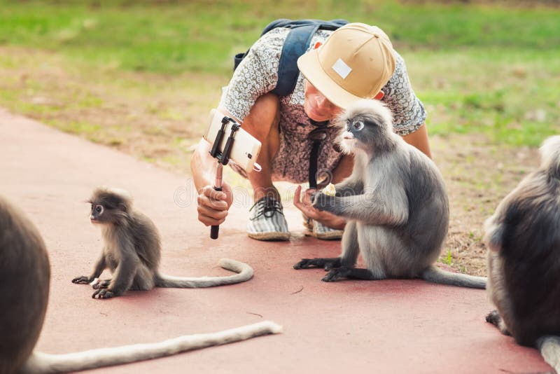 Risultati immagini per monkeys selfie