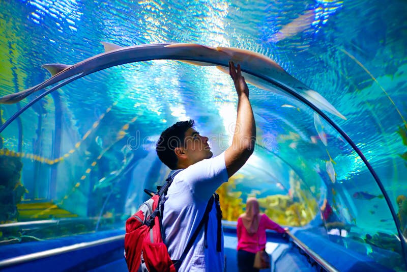Young man, tourist touching the glass under cramp-fish, while visiting marine underwater tunnel stock images Young man, tourist touching the glass under cramp-fish, while visiting marine underwater tunnel stock images