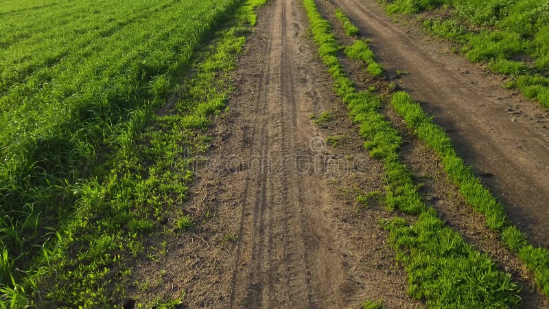 Young man walking on rural road. Close-up top view of male legs wearing black sneakers and jeans.