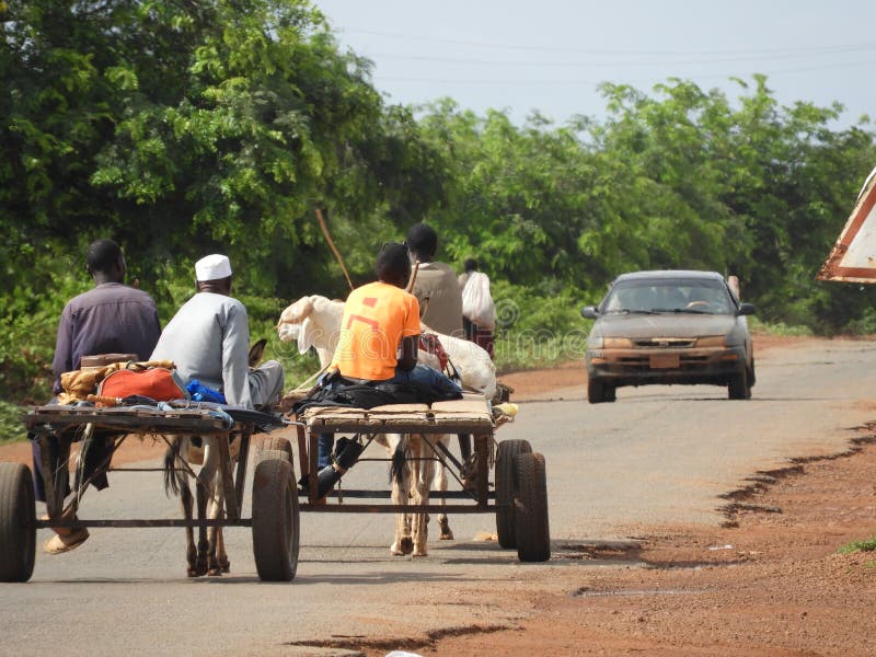 Young men on carts pulled by donkeys stock image