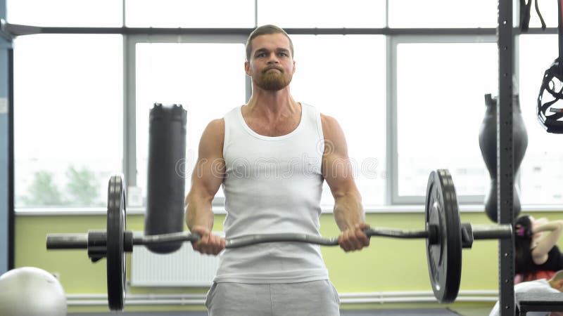 Athlete doing exercise for biceps with barbell. young muscular man trains at the gym. crossfit training royalty free stock images Athlete doing exercise for biceps with barbell. young muscular man trains at the gym. crossfit training royalty free stock images