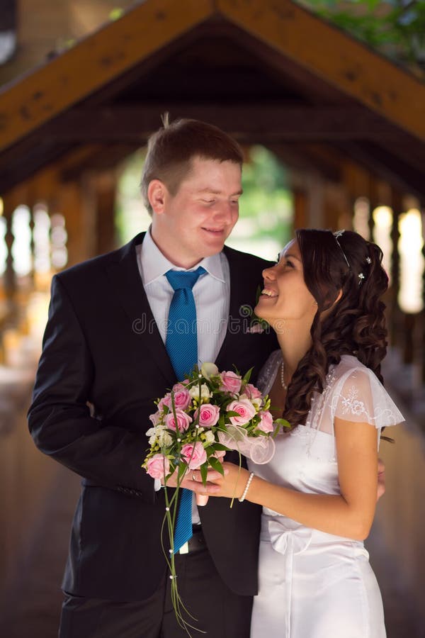 Young newlyweds stock photo. Image of portrait, happiness - 28958662
