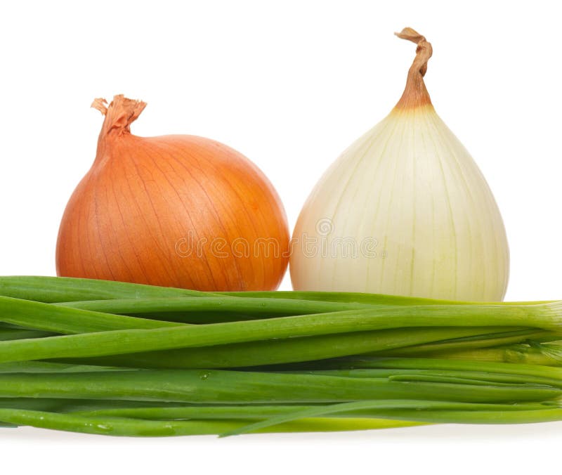 Young onion stock image. Image of gold, isolated, cookery 48018049