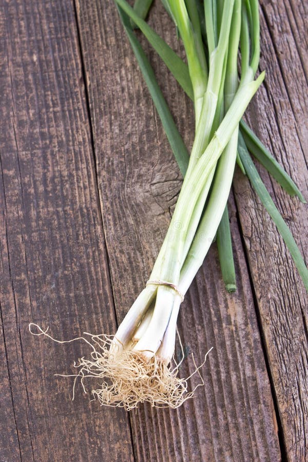Young onion stock image. Image of dietary, organic, heap 14174843