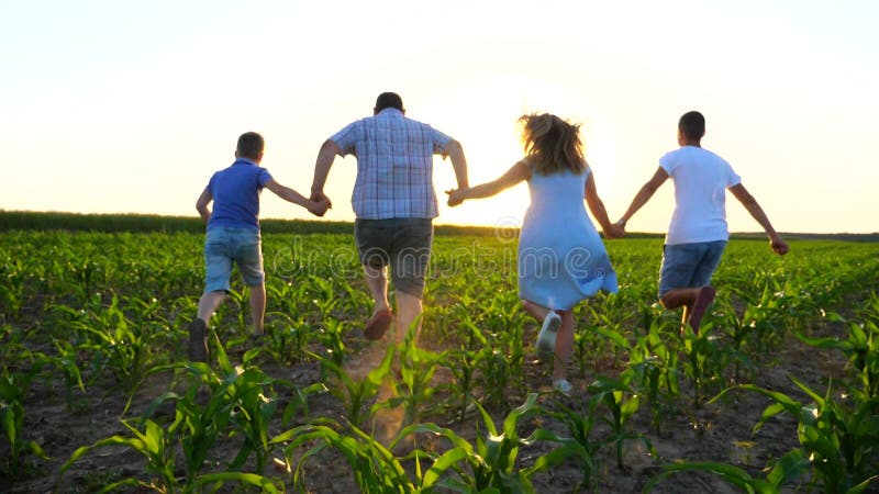 Young parents with two sons holding hands of each other and running through green field at sunset. Mother and father