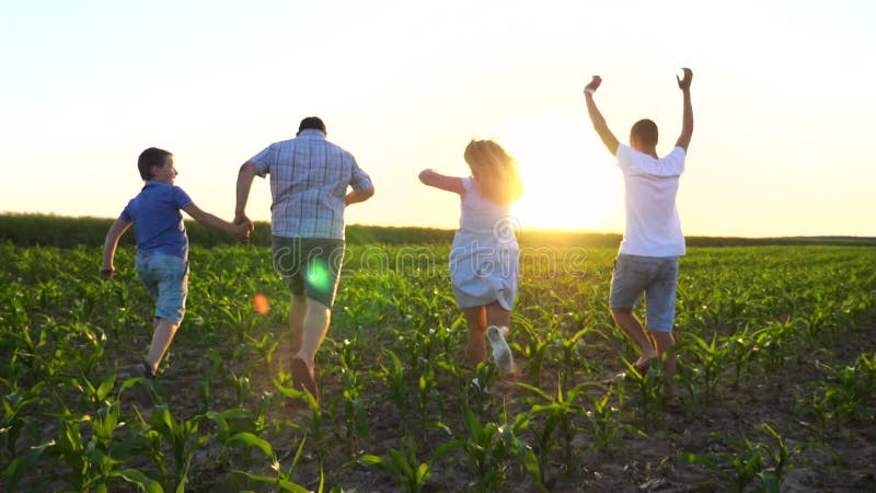 Young parents with two sons holding hands of each other and running through green field at sunset. Mother and father