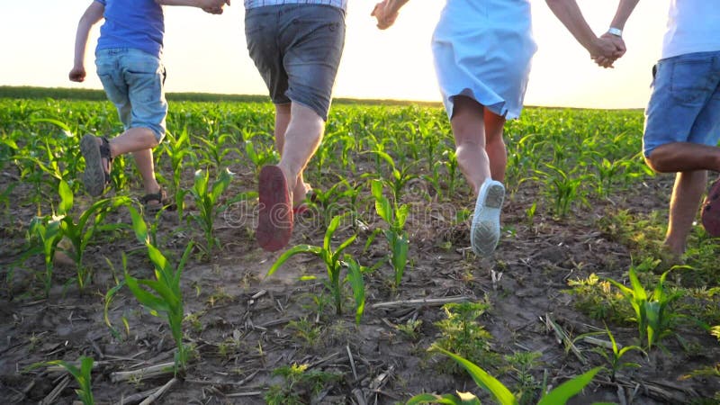 Young parents with two sons holding hands of each other and running through green field at sunset. Mother and father. With children jogging among lawn together