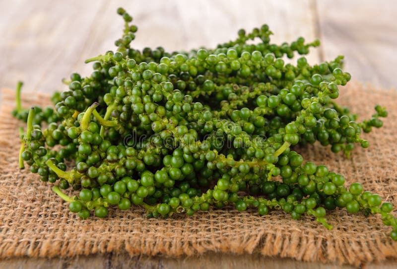 Peppercorn, Young Pepper, Green Peppercorn. Fresh Organic Harvest On