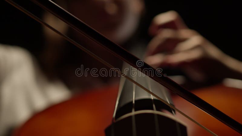 Young person in white shirt playing classical music on a cello, musical string instrument of the violin family. Closeup stock video