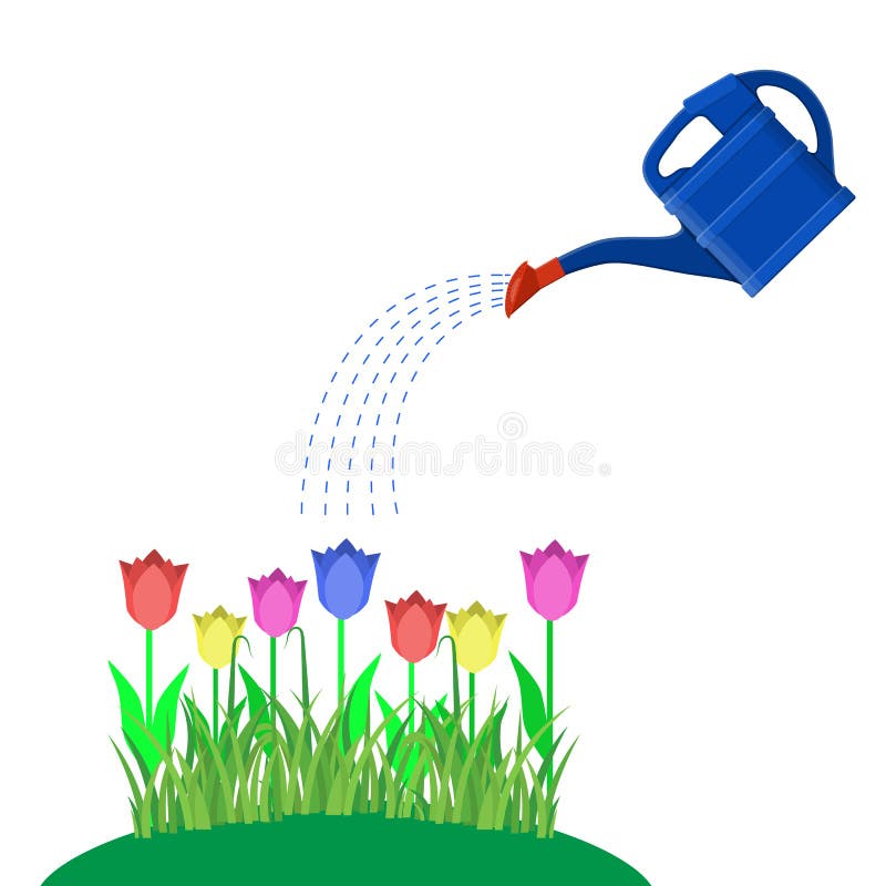 Young plant with watering can