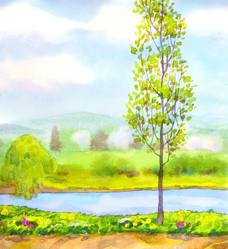 Watercolor landscape. Young poplar trees on the river in the freshness of a bright spring day