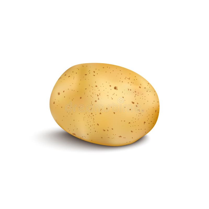 Potatoe Stock Illustrations – 669 Potatoe Stock Illustrations, Vectors &  Clipart - Dreamstime