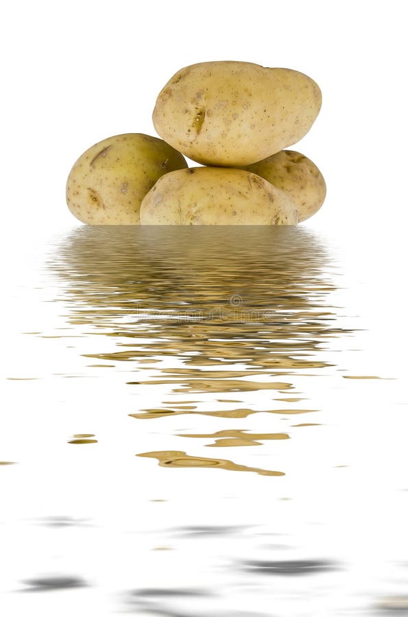 Young potatoes in the water