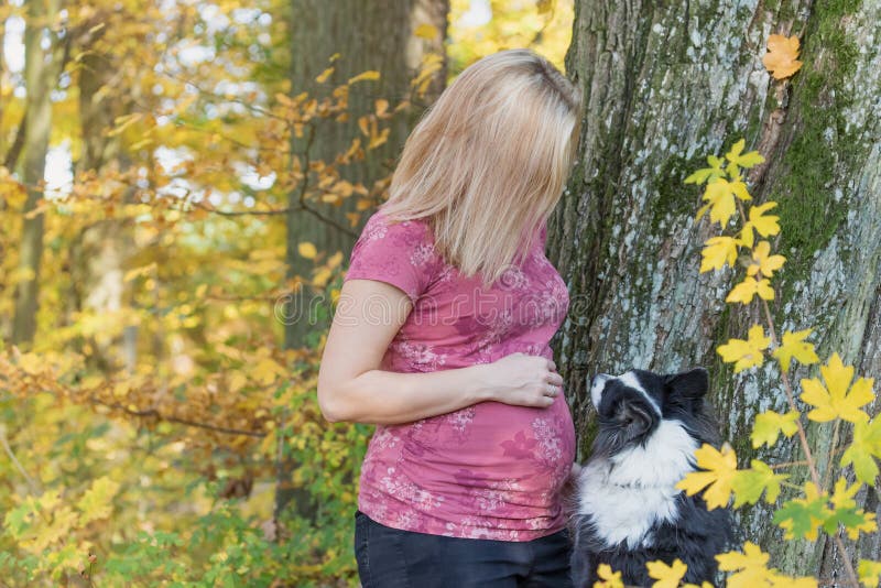 Young pregnant woman she is playing with her dog royalty free stock photos Young pregnant woman she is playing with her dog royalty free stock photos