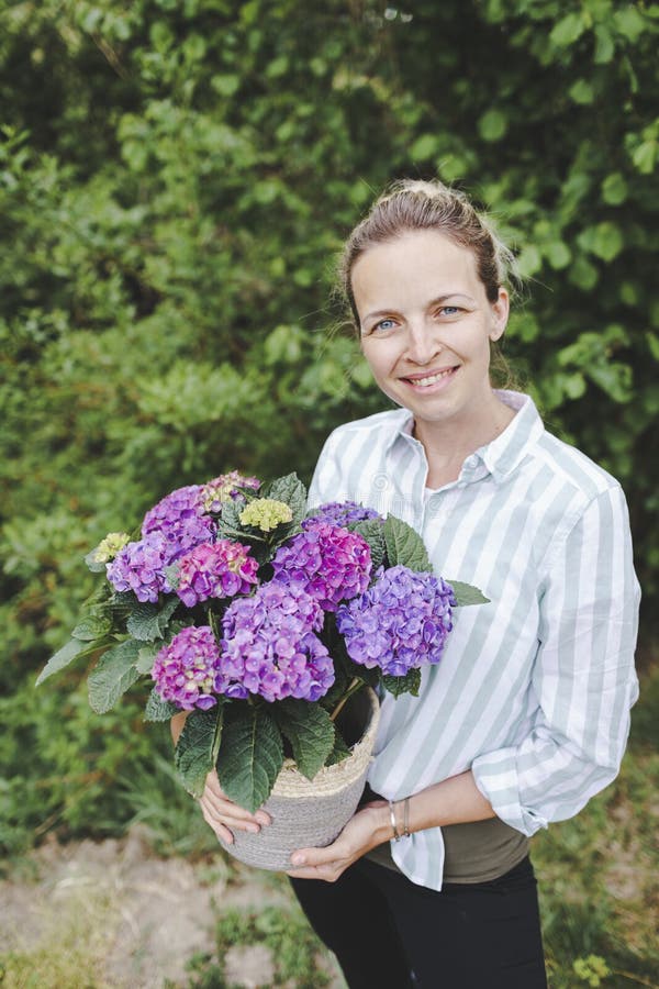 Young pretty blonde woman is holding many purple hydrangeas in her hand in her garden and is happy royalty free stock image