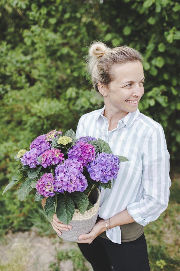 Young pretty blonde woman is holding many purple hydrangeas in her hand in her garden and is happy royalty free stock photo
